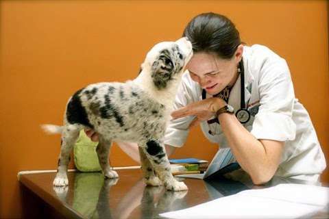 Murdoch Veterinary Clinic